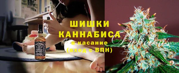 СК Арсеньев