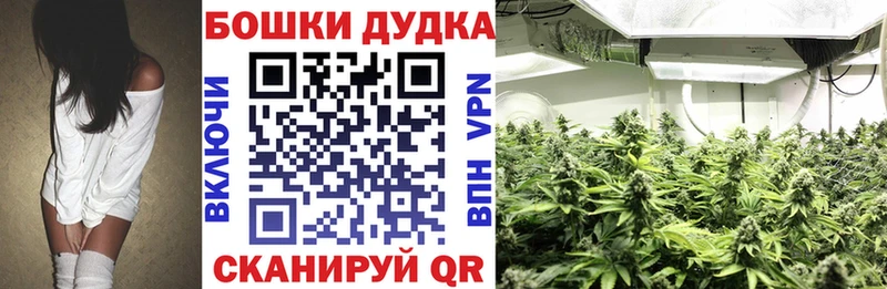 ссылка на мегу ТОР  Соль-Илецк  Канабис VHQ 